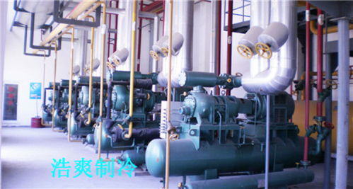 天津防爆型冷库工程中的网络系统 设计与安装要点解析