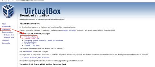 网络工程师必备软件 ENSP、VirtualBox与抓包工具安装全指南